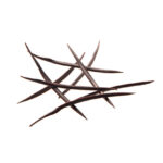 BRISTLE