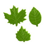 Chocolate Leaves green Set
