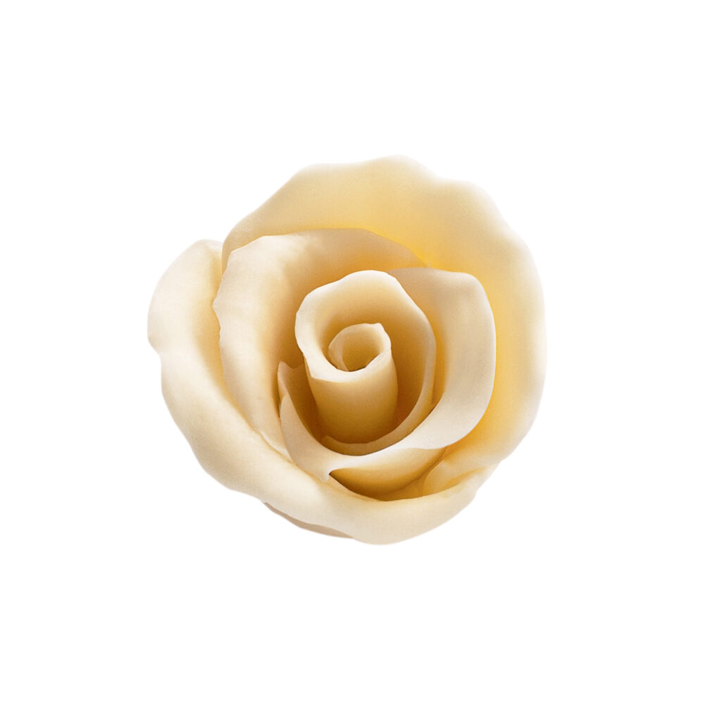 ROSE WHITE ROSE WHITE