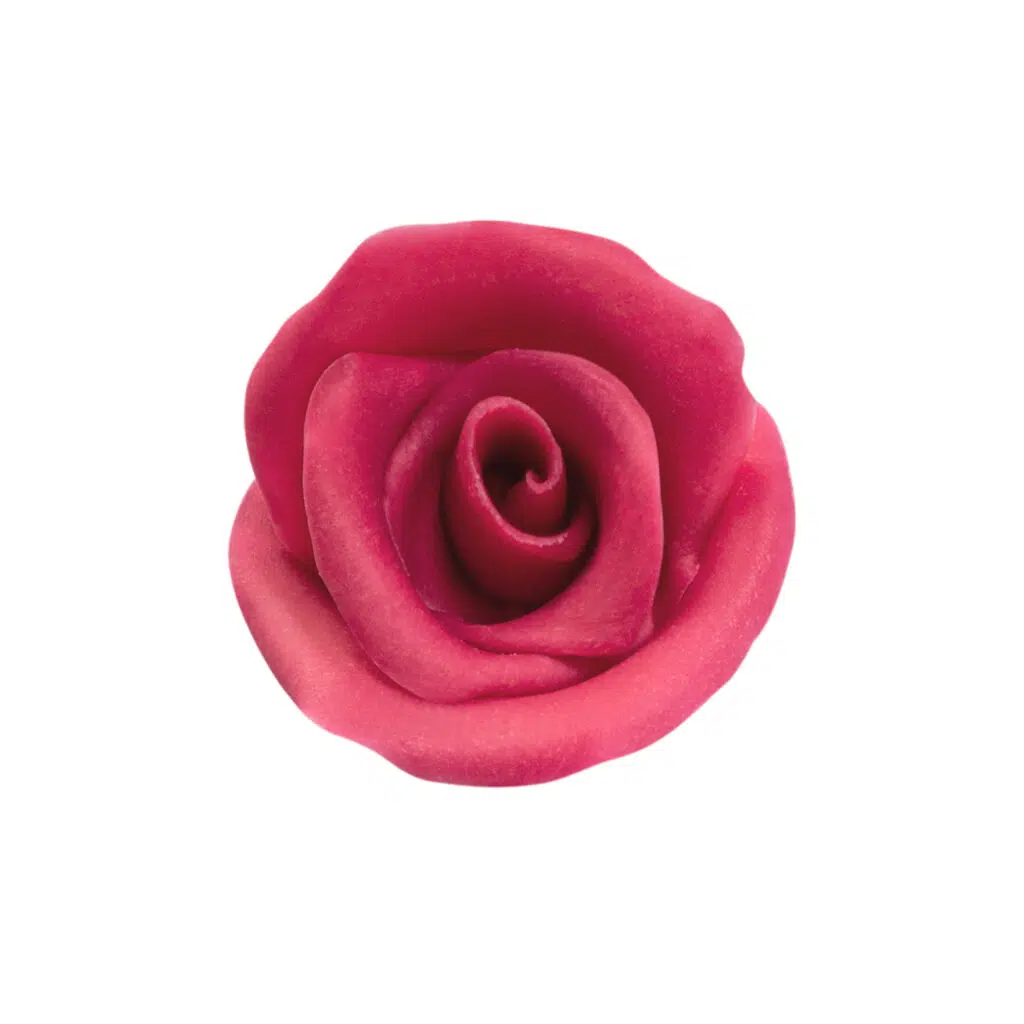 ROSE PINK ROSE PINK