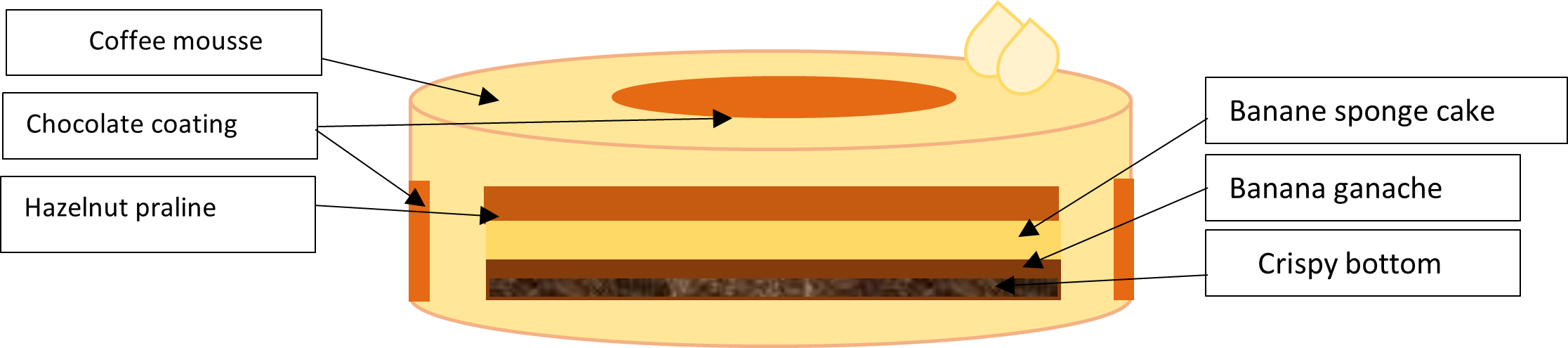 Grillage mousse cake scheme
