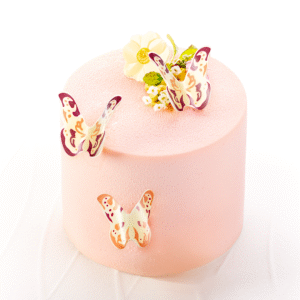 Cake with chocolate butterflies