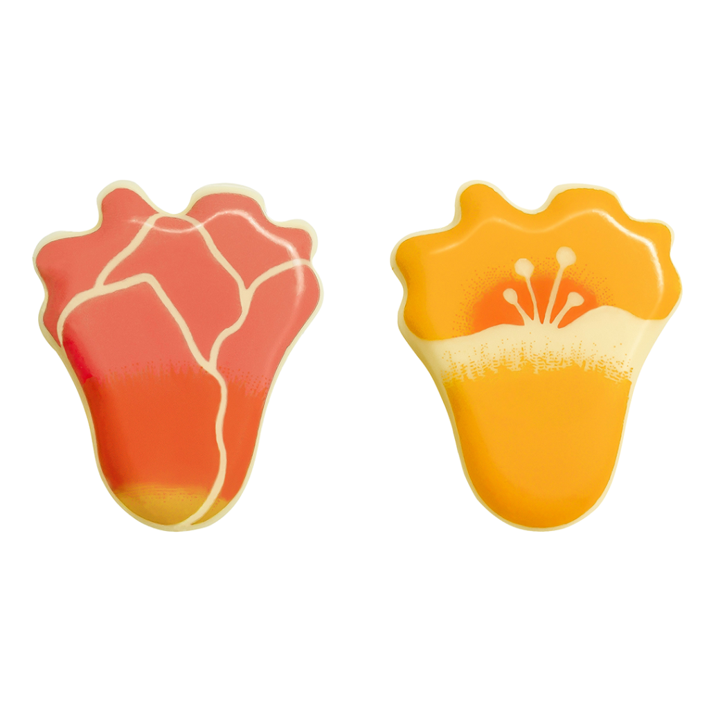 Chocolate tulip and bellflower