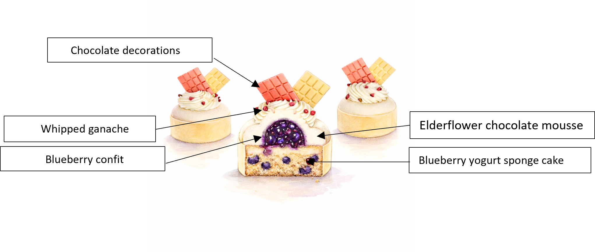 Scheme Blueberry secret