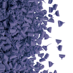 Lavender blossoms