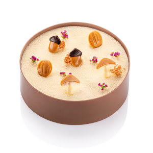 Cake with autumn chocolate decorations